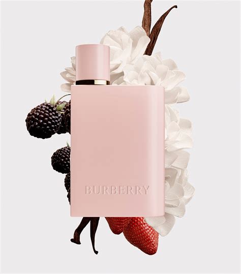 burberry her elixir reddit|burberry her eau de parfum.